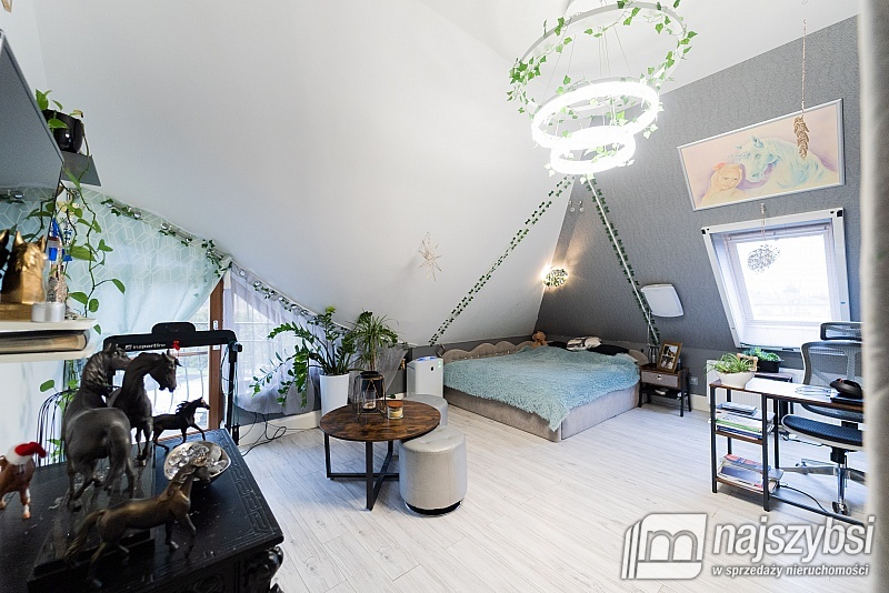 Wyjątkowa posiadłość pod Goleniowem  (23)