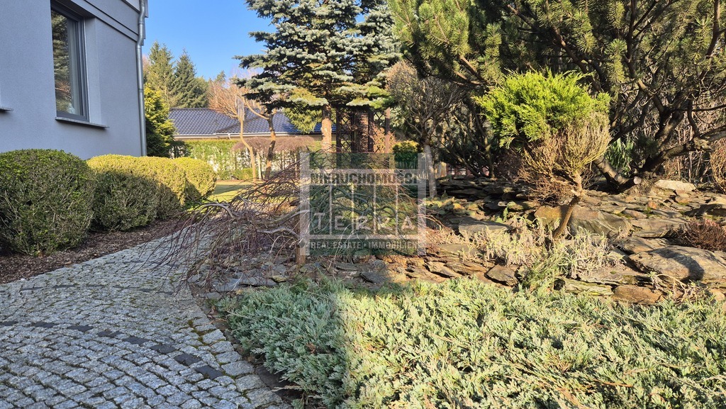 Top lokalizacja w mieście! (23)