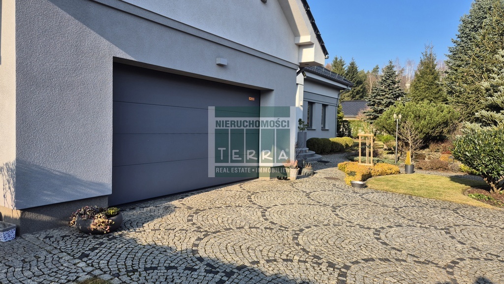 Top lokalizacja w mieście! (21)