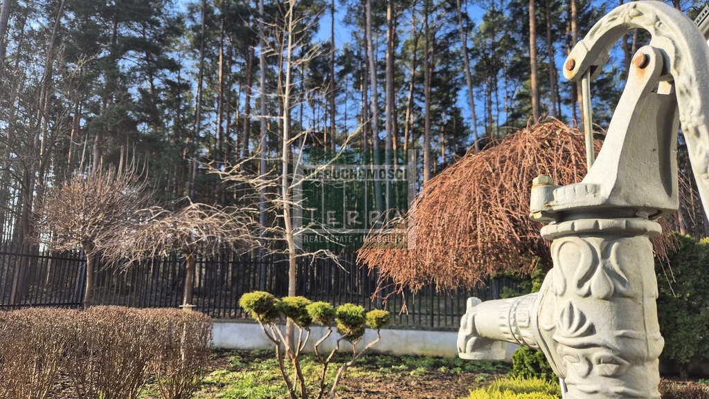 Top lokalizacja w mieście! (24)