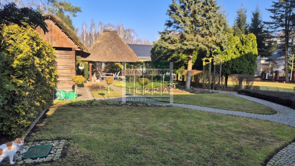 Top lokalizacja w mieście! (26)