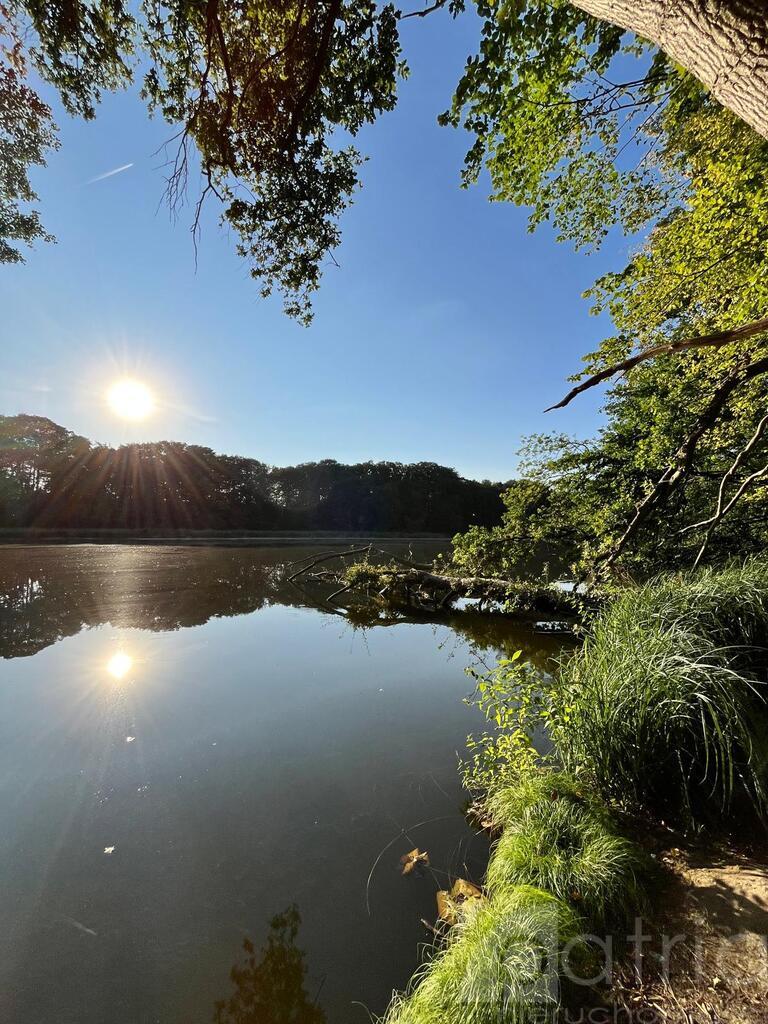 Działka budowlana z dostępem do jeziora 2304 m2 (2)