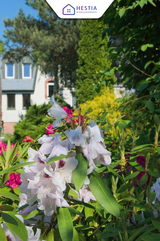 Stylowy dom z ogrodem - Stargard (19)