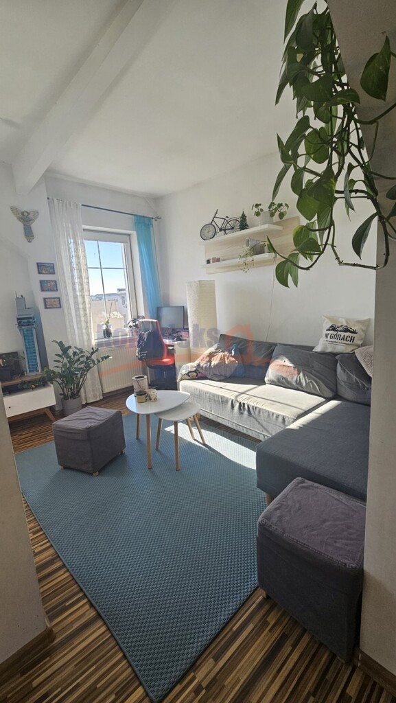 3 pokoje w idealnej lokalizacji !!! (1)