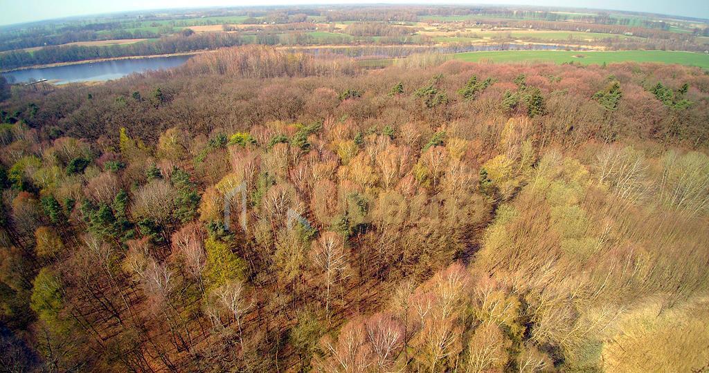 Działki nad jeziorem Dobra Nowogardzka (16)