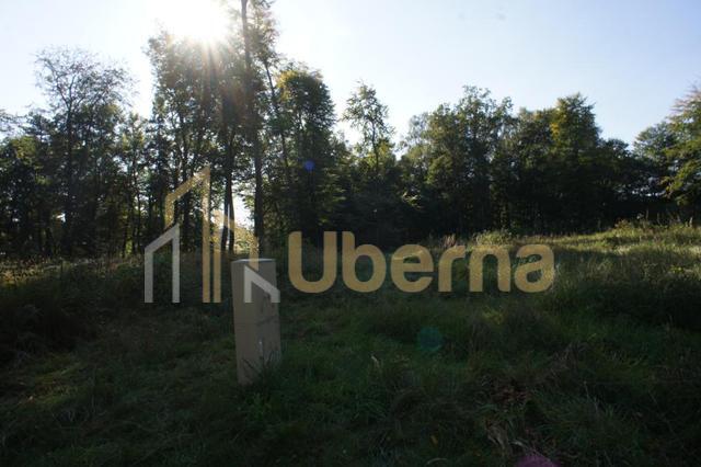 Działki nad jeziorem Dobra Nowogardzka (17)