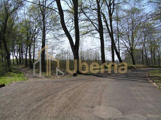 Działki nad jeziorem Dobra Nowogardzka (19)