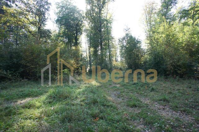 Działki nad jeziorem Dobra Nowogardzka (7)