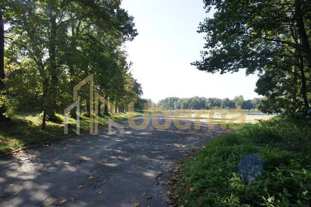 Działki nad jeziorem Dobra Nowogardzka (10)