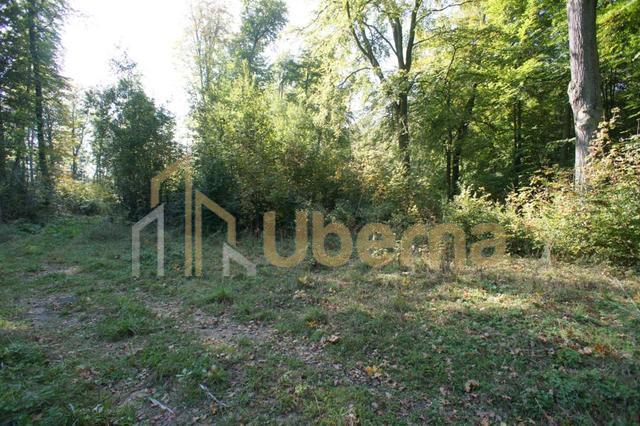 Działki nad jeziorem Dobra Nowogardzka (11)