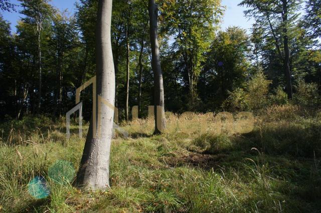 Działki nad jeziorem Dobra Nowogardzka (13)