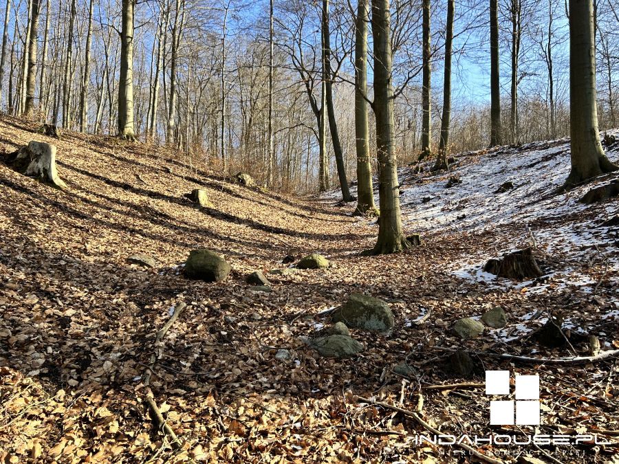 Duża działka nad  jeziorem Dołgie Wielkie... (10)