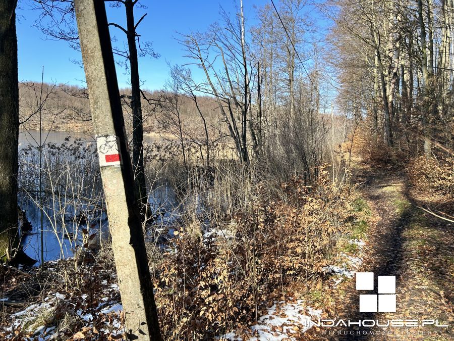 Duża działka nad  jeziorem Dołgie Wielkie... (11)