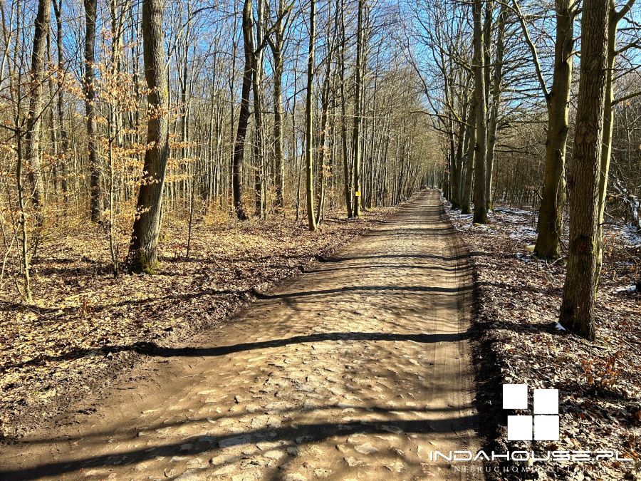 Duża działka nad  jeziorem Dołgie Wielkie... (14)