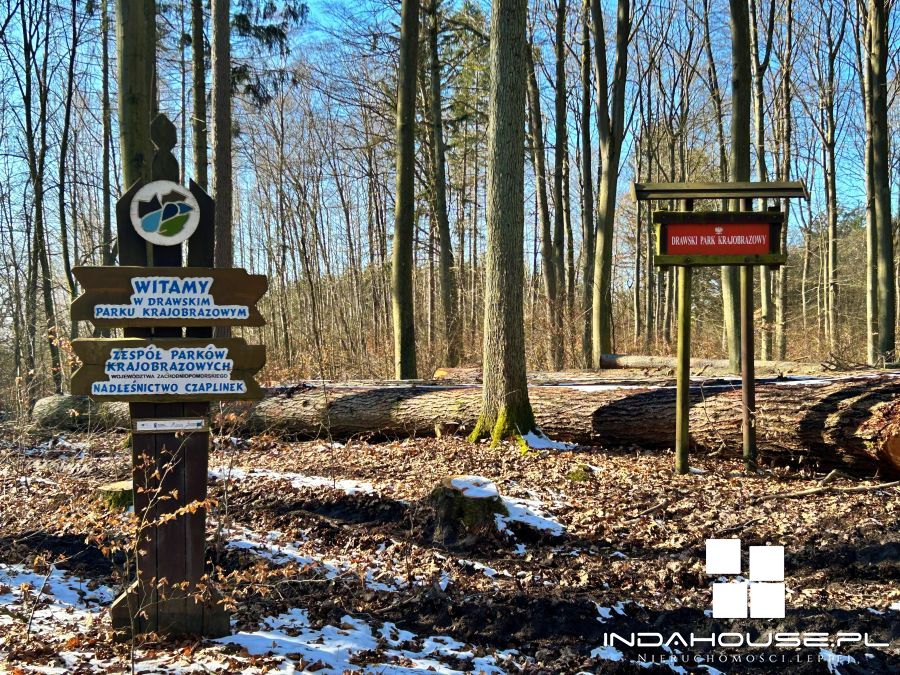 Duża działka nad  jeziorem Dołgie Wielkie... (15)