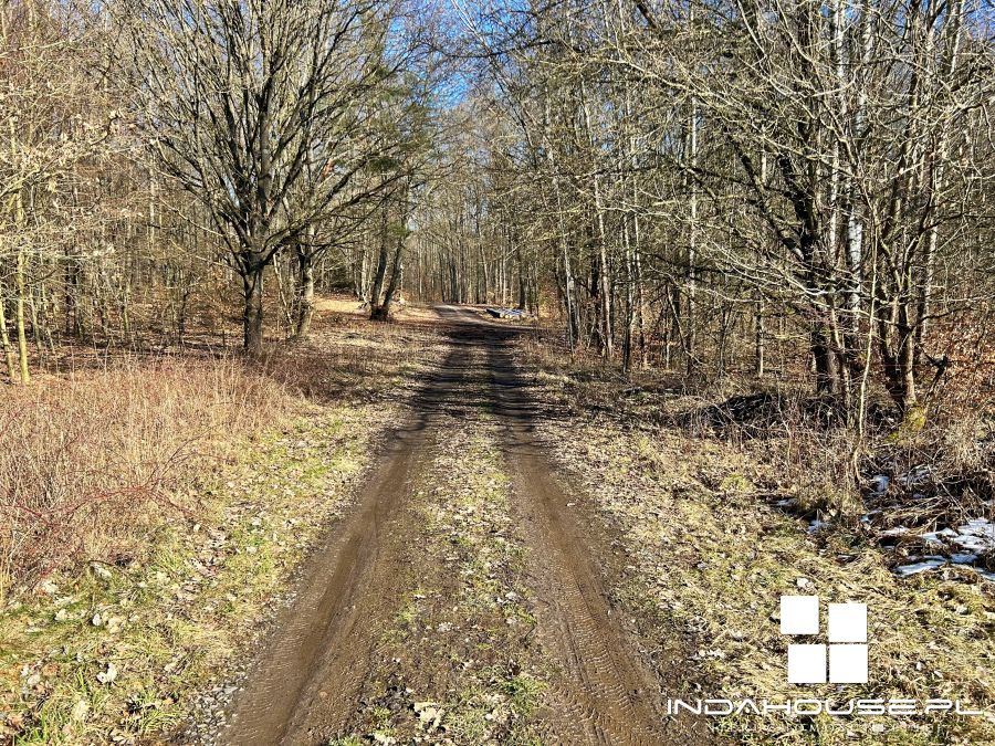 Duża działka nad  jeziorem Dołgie Wielkie... (7)