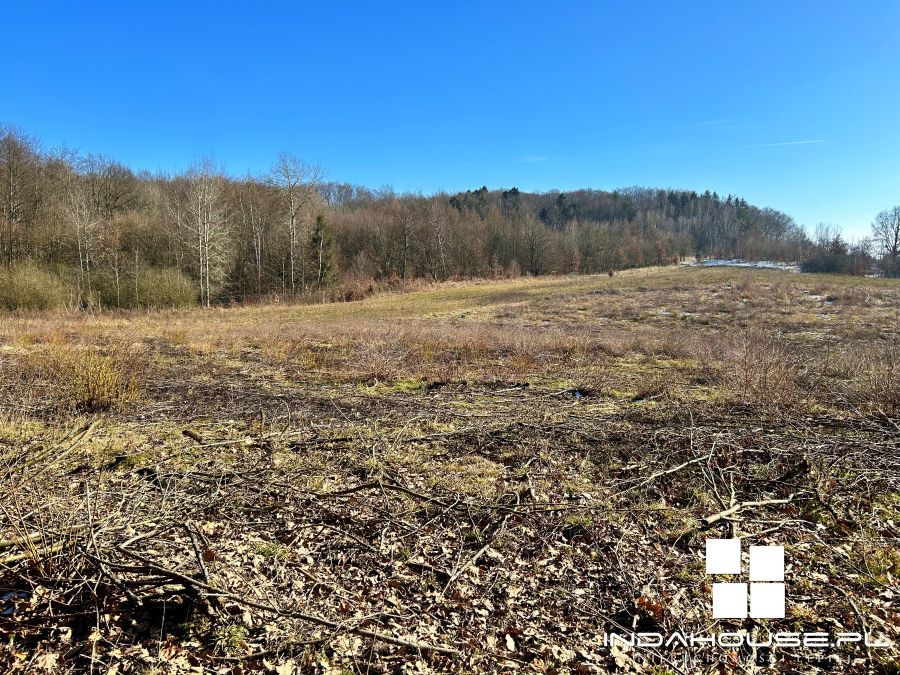 Duża działka nad  jeziorem Dołgie Wielkie... (8)