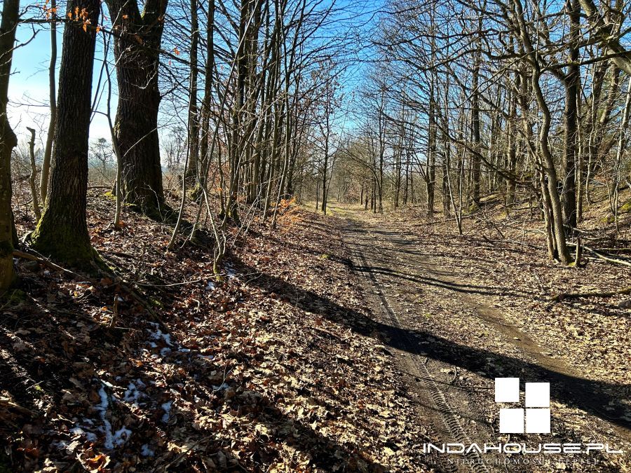 Duża działka nad  jeziorem Dołgie Wielkie... (9)
