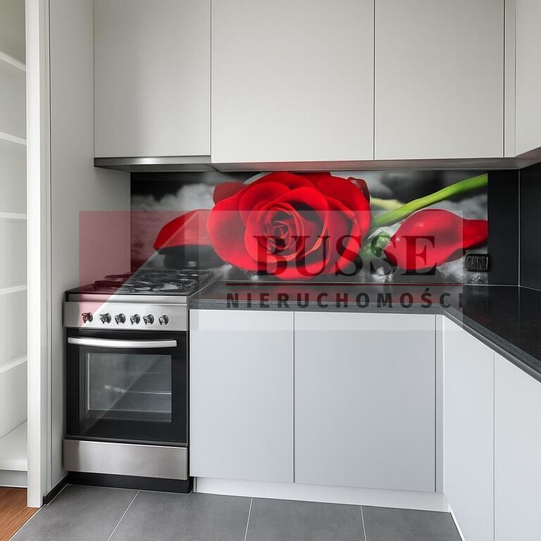 Na wynajem przytulne 2 pokoje z balkonem-Turzyn (2)