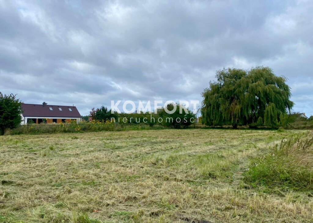 Enklawa spokoju i ciszy - harmonia natury (1)