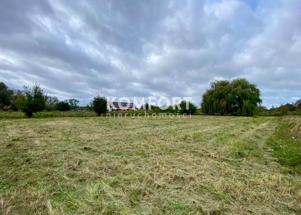 Enklawa spokoju i ciszy - harmonia natury (2)