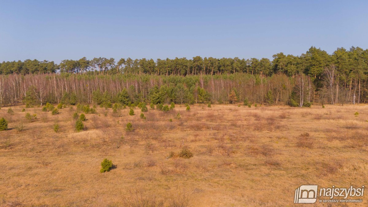 Miękowo- działka z miejscowym planem. (22)