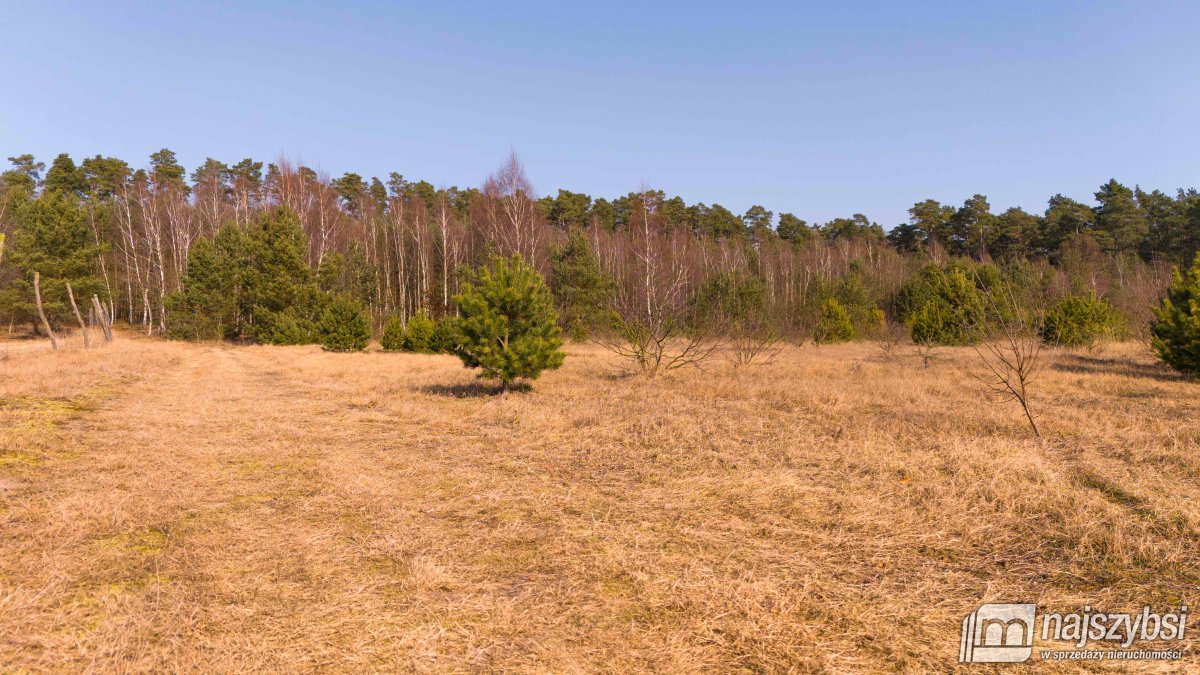 Miękowo- działka z miejscowym planem. (8)
