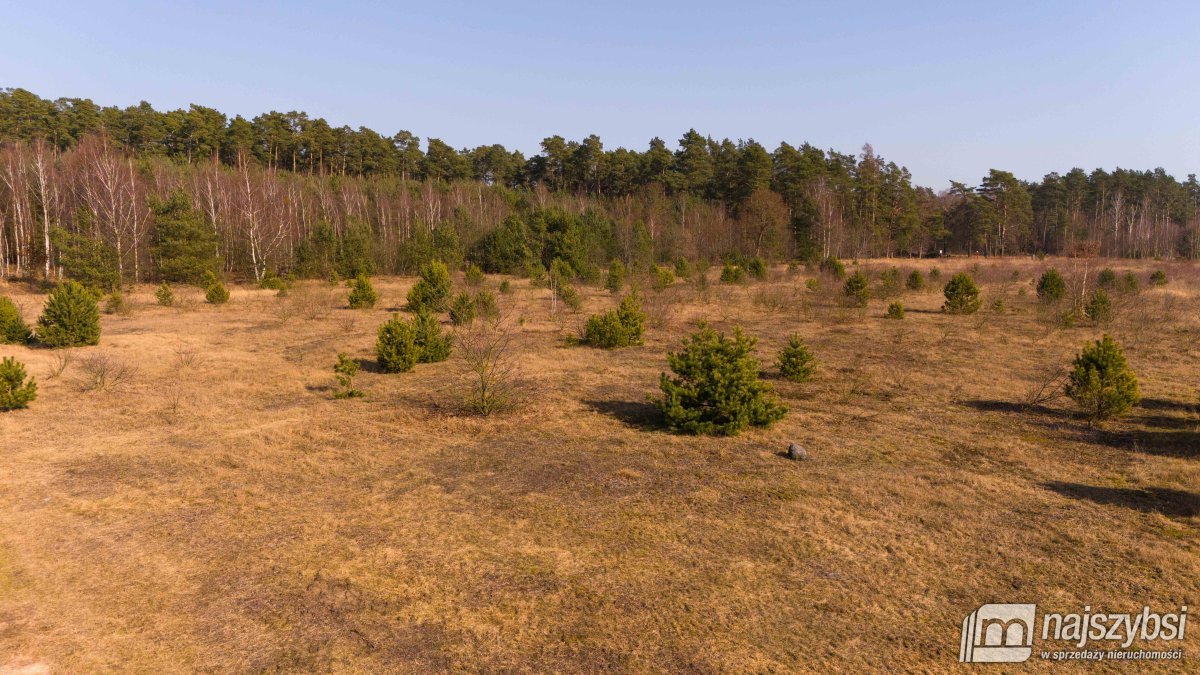 Miękowo- działka z miejscowym planem. (9)