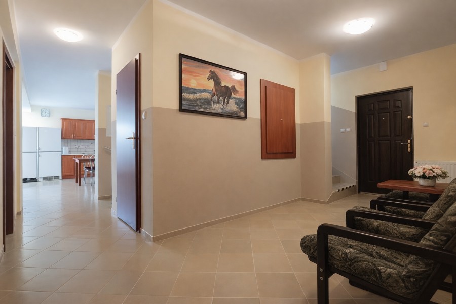 Wolnostojący, 823 m2, Łopienica  (5)