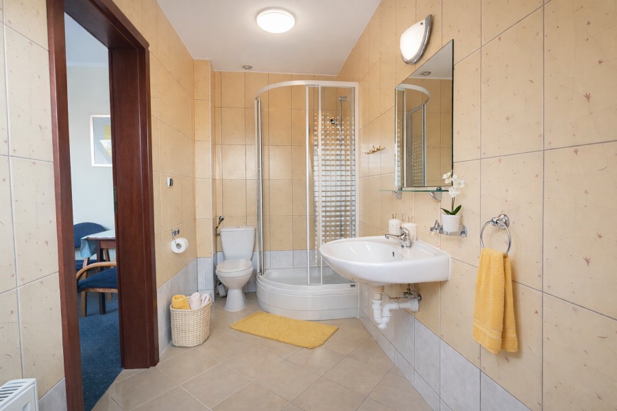 Wolnostojący, 823 m2, Łopienica  (8)