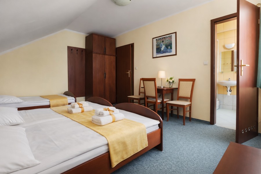 Wolnostojący, 823 m2, Łopienica  (7)