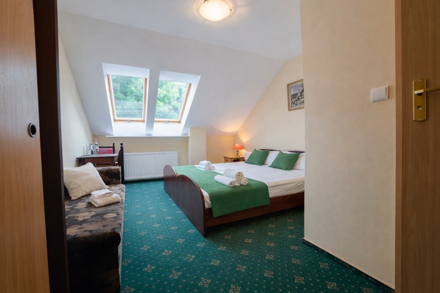 Wolnostojący, 823 m2, Łopienica  (11)