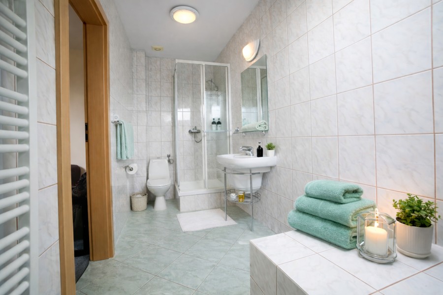 Wolnostojący, 823 m2, Łopienica  (10)