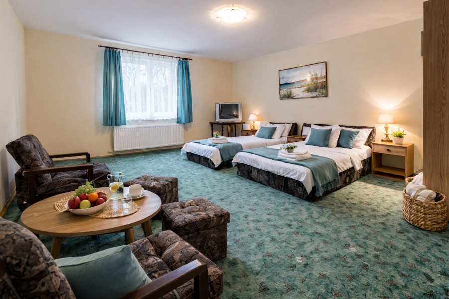 Wolnostojący, 823 m2, Łopienica  (9)