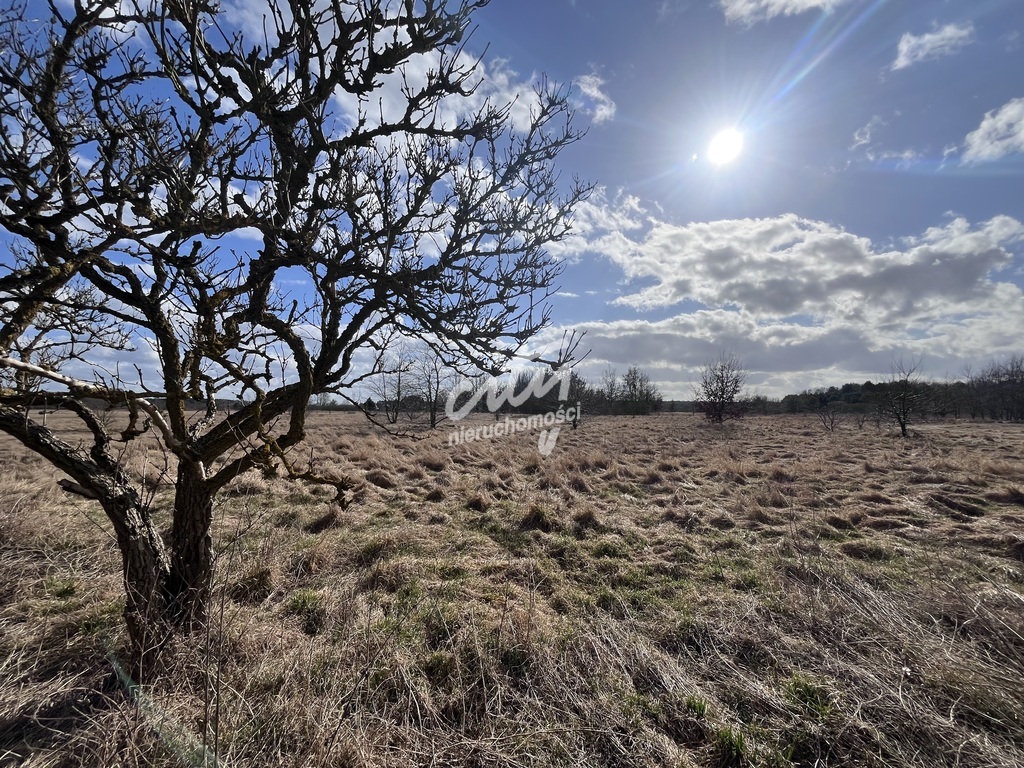 Łaniewo - działki budowlane z warunkami zabudowy! (1)
