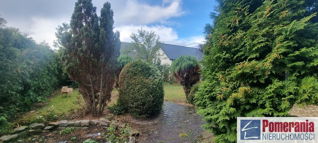 Dom wolno stojący, Cedynia !!! (16)