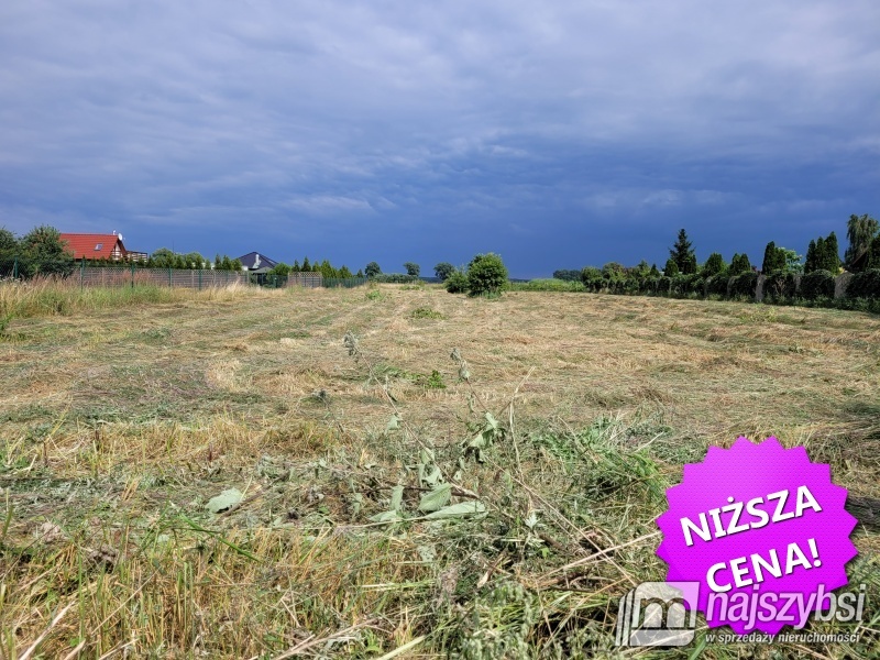 Lubczyna-900 m do Jeziora Dąbie . (10)