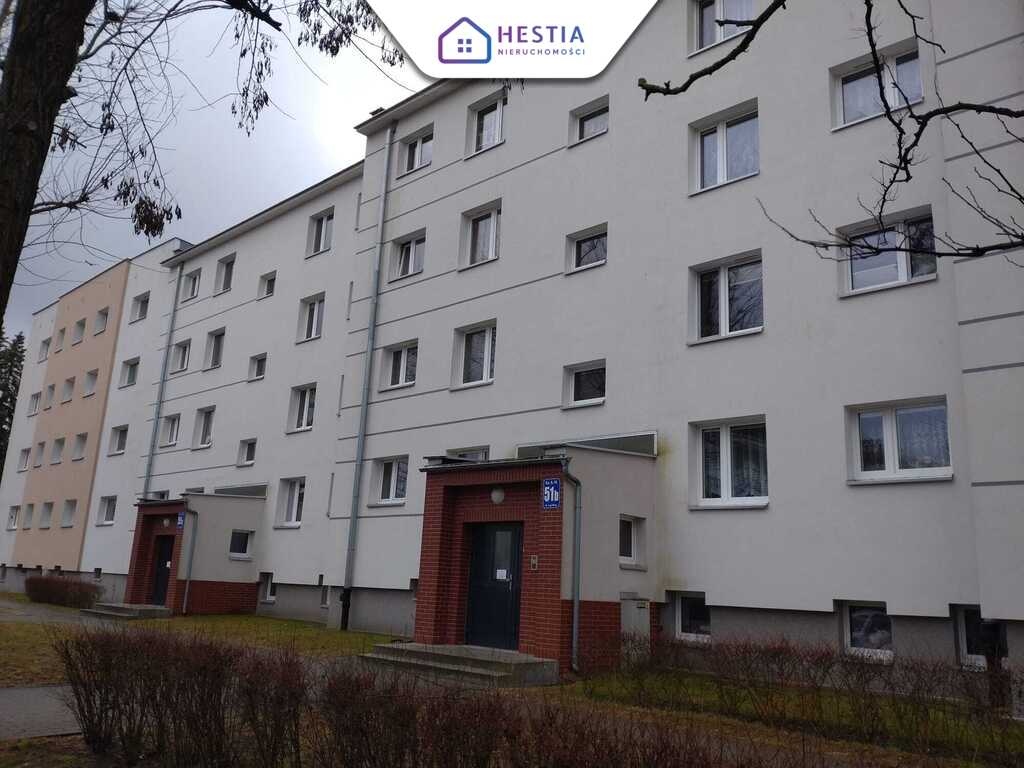 Słoneczne 54 m2 z loggią-Twoja oaza blisko centrum (15)