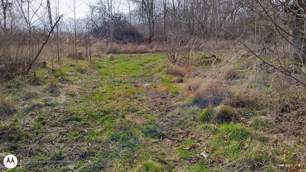 Inwestycyjna, 4,300 m2, Dębina  (4)