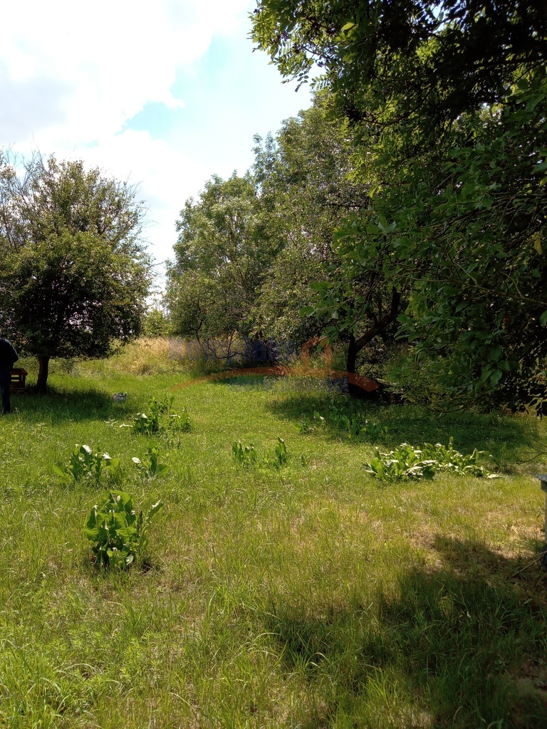 Inwestycyjna, 4,300 m2, Dębina  (2)