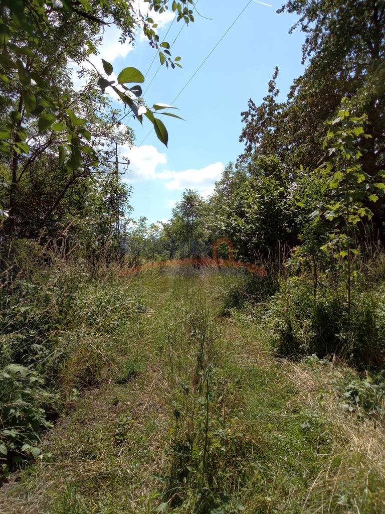 Inwestycyjna, 4,300 m2, Dębina  (6)