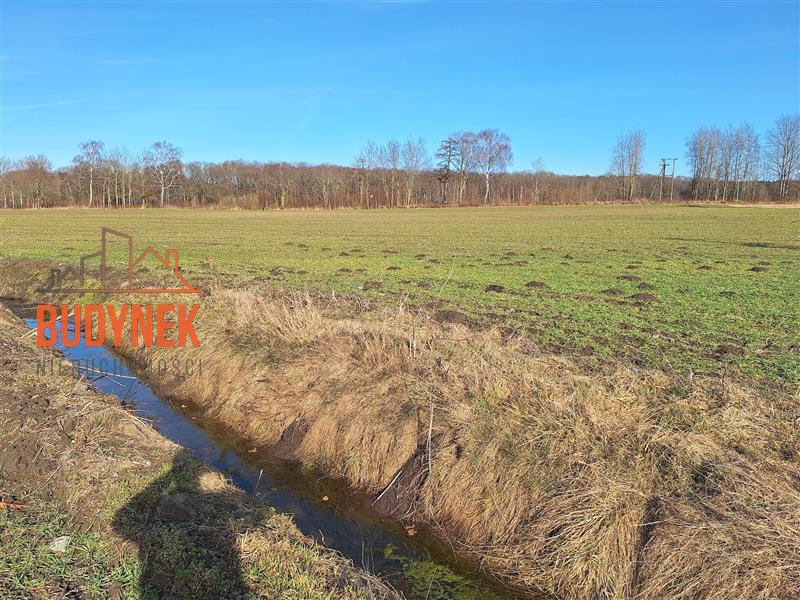 Działka rolna - Stary Jarosław  (13)