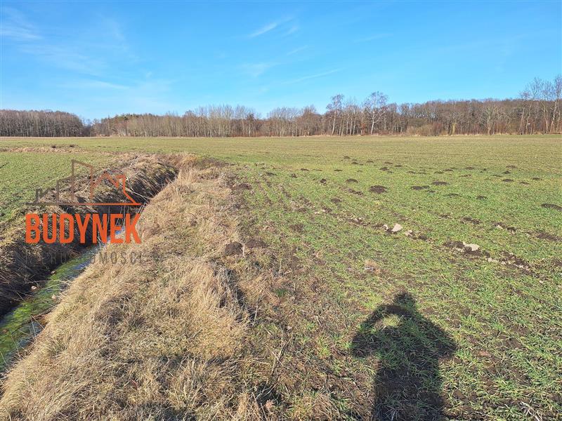 Działka rolna - Stary Jarosław  (9)