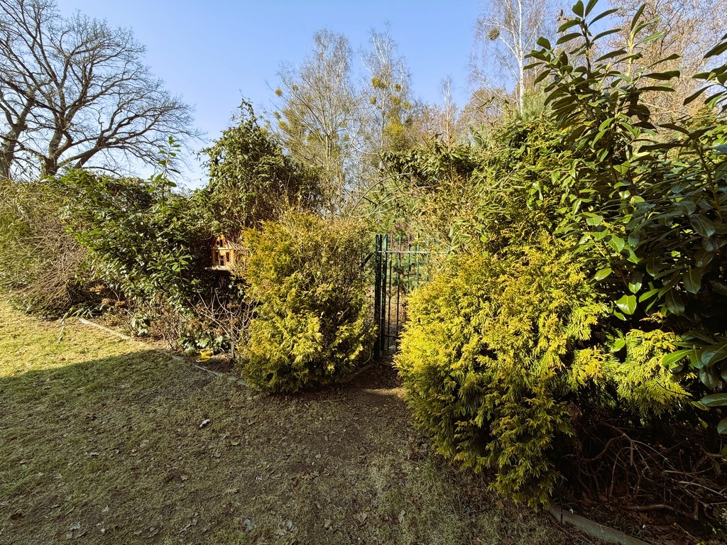 Dom na granicy Szczecina z wejściem do lasu (22)