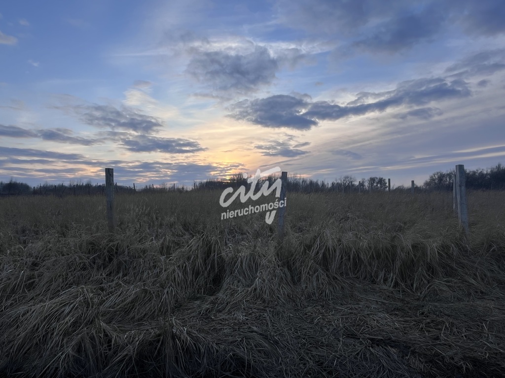Pięknie położona działka budowlana! (3)