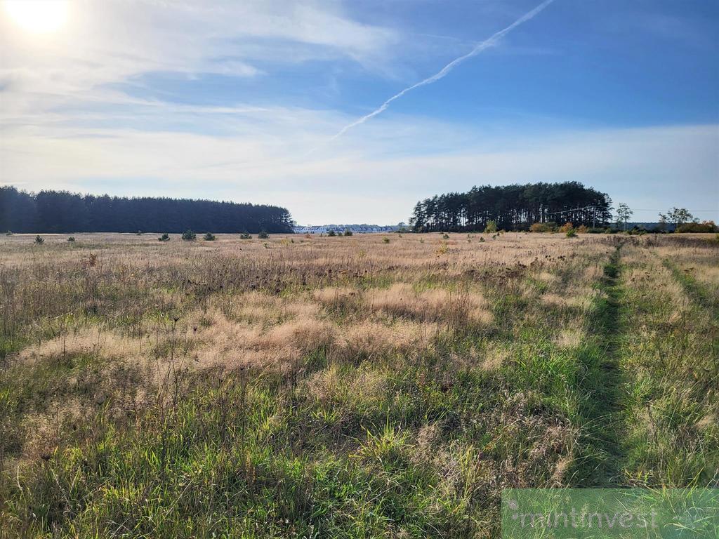 ATRAKCYJNY DOM PARTEROWY w STANIE DEWELOPERSKIM (9)