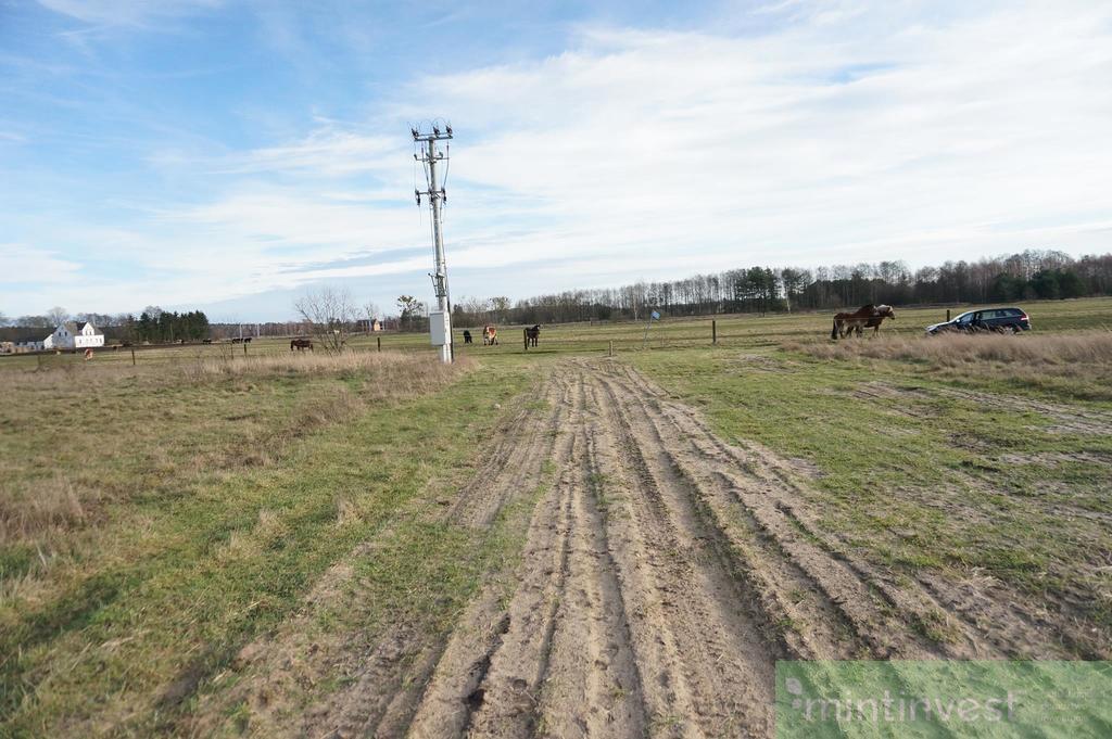 ATRAKCYJNY DOM PARTEROWY w STANIE DEWELOPERSKIM (10)