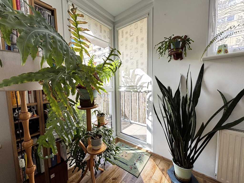 Mieszkania 2 pokoje, II piętro z balkonem Police (6)