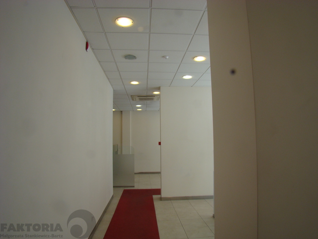 Centrum lokal 280 m2, PARTER, witryny (2)