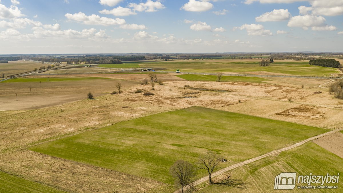 WICIMICE- GRUNTY ROLNE PRZY DRODZE S6 (16)